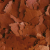 Tropical D-50 Plus in der Variante