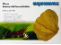aquamax_nano_seemandelbaumblaetter-medium.png