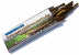 aquamax_seemandelbaumrinde-medium.png aquamax_seemandelbaumrinde-medium.png