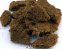 artemia_fd-large.png