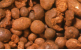 sera super peat 500 g