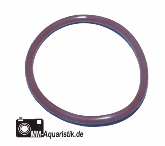 aqua-medic-acone-o-ring-druck-und-saugseite-dispergatorpumpe.png