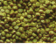 sera granugreen ( Bitte w�hlen Sie eine Variante aus )