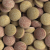 Tetra Tablets TabiMin ( Bitte wählen Sie eine Variante aus ) Tetra Tablets TabiMin ( Bitte wählen Sie eine Variante aus )