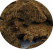 Artemia FD ( Bitte w�hlen Sie eine Variante aus )