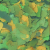 Tropical Bio Vit ( Bitte w�hlen Sie eine Variante aus )