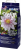 hobby-zeolith.png