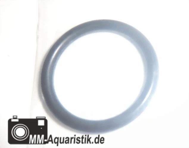 eheim-o-ring-726930.png eheim-o-ring-726930.png