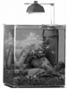 ersatzteileuebersicht-bild-eheim-aquastyle-16.png