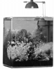 ersatzteileuebersicht-bild-eheim-aquastyle-24.png ersatzteileuebersicht-bild-eheim-aquastyle-24.png