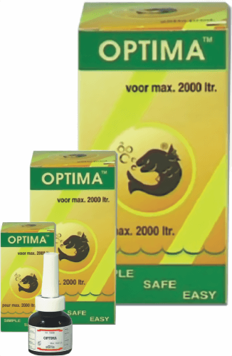 sea_horse_optima.png