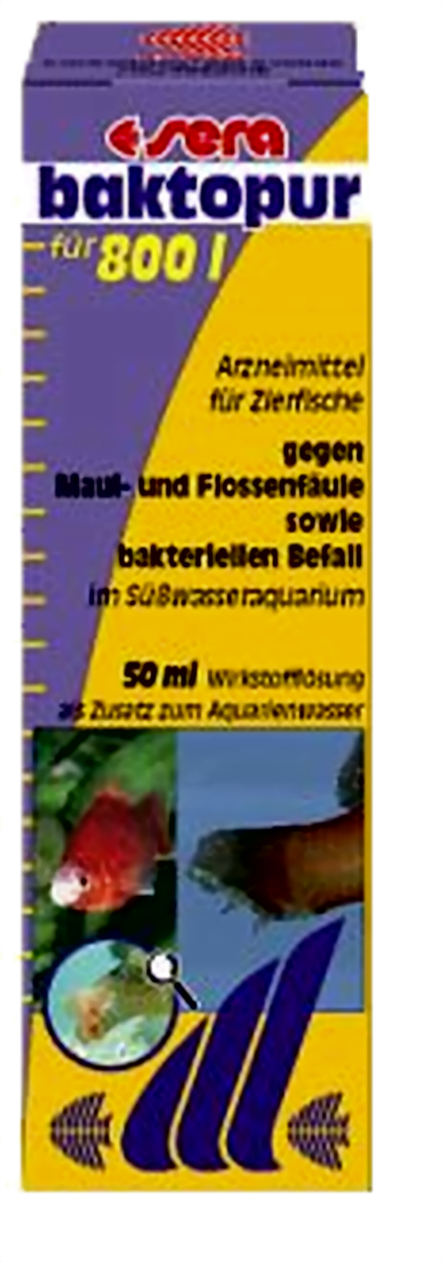 sera_baktopur-large.png