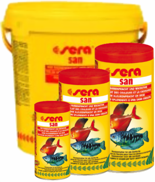 sera_san-large.png sera_san-large.png