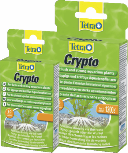 tetra_crypto.png