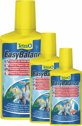 tetra_easy_balance.png