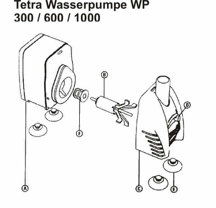 Tetra_Explosionszeichnung_Wasserpumpe_WP Tetra_Explosionszeichnung_Wasserpumpe_WP