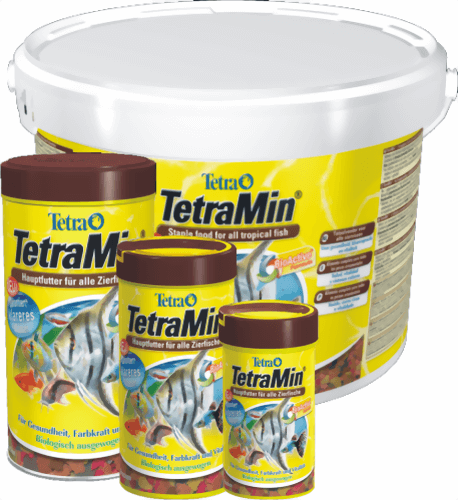 tetra_min.png