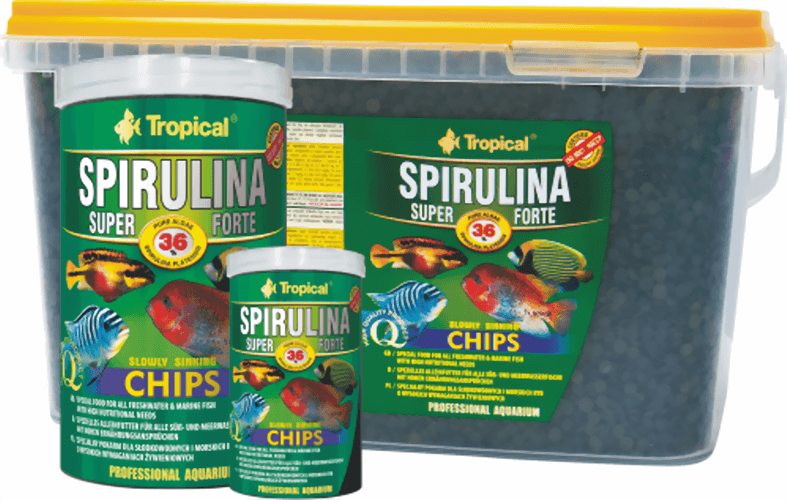 tropcal-spirulina-chips.png