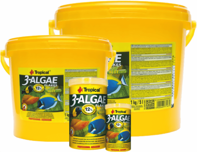 tropical-3-algae.png tropical-3-algae.png
