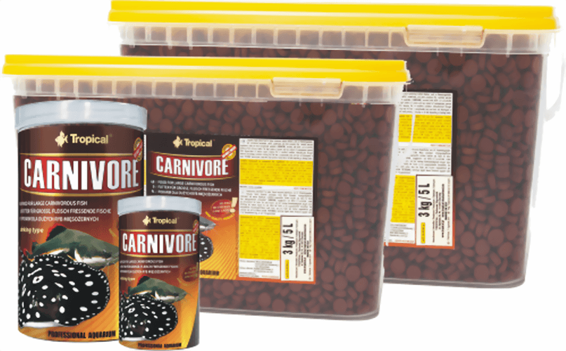 tropical-carnivore.png