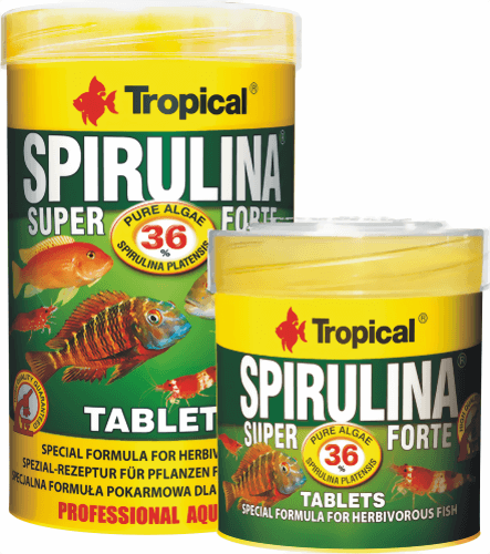 tropical-spirulina-tablets.png