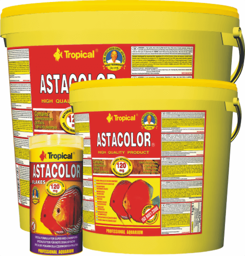 tropical_astacolor.png tropical_astacolor.png