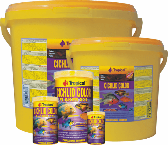 tropical_cichlid_color.png tropical_cichlid_color.png