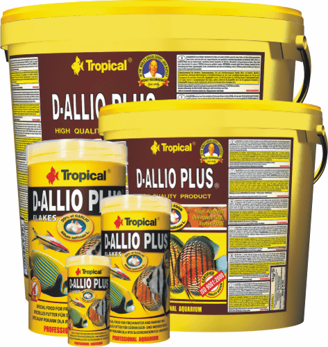 tropical_d_allio_plus.png tropical_d_allio_plus.png