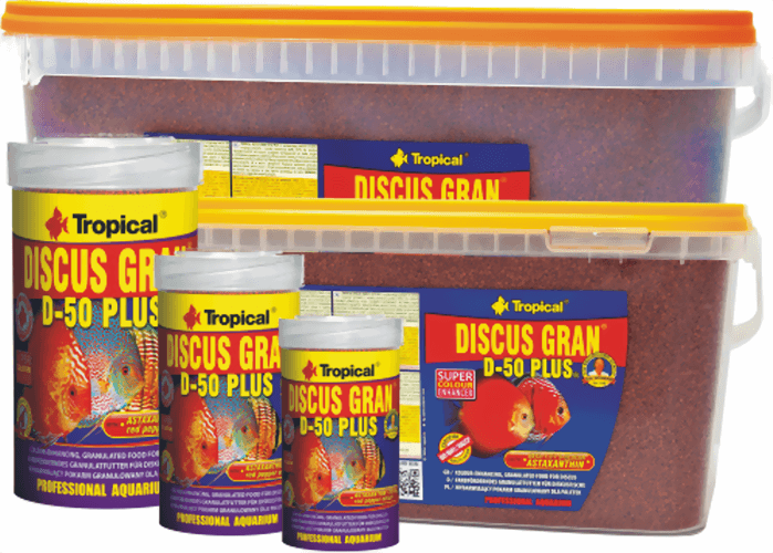 tropical_discus_gran.png