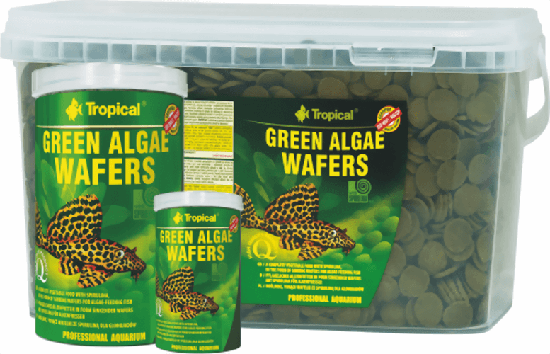 tropical_green_algae_wafers.png