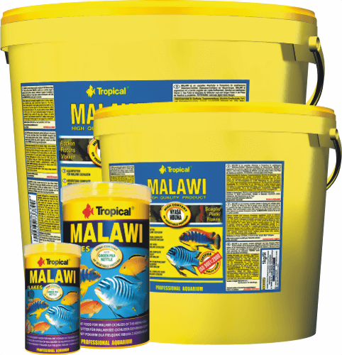 tropical_malawi.png