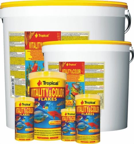 tropical_vitality_color.png tropical_vitality_color.png
