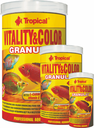tropical_vitality_color_granulat.png
