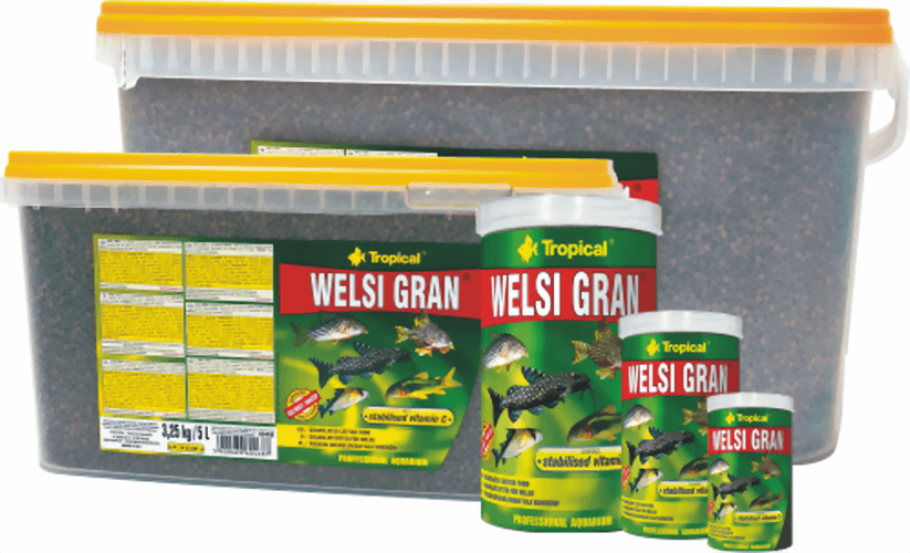 tropical_welsi_gran.png
